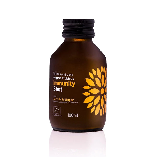 Био Immunity Шот 100ml, VIGO Kombucha